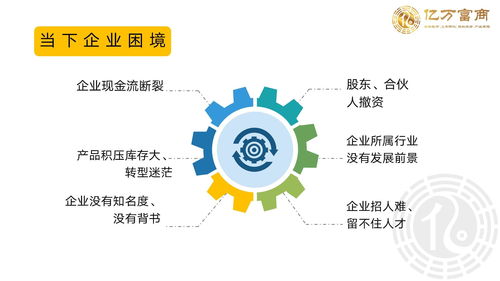 海外上市企業管理與免費企業培訓 軟件開發領域的億萬富商之道